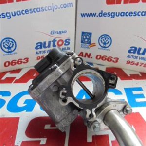25629 – EGR – Opel