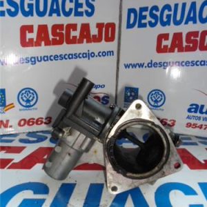 25075 – EGR – Volkswagen