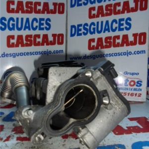 22202 – EGR – Renault