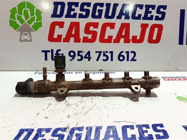 46829 – RAMPA INYECTORA – Ford - Imagen 2