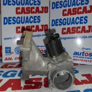 18826 – EGR – Renault