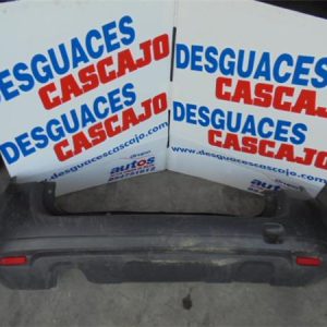 24535 – PARAGOLPES TRA. – Dacia