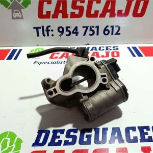 46421 – EGR – Renault