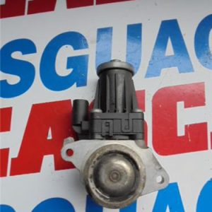 24901 – EGR – Fiat