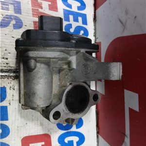 44125 – EGR – Renault