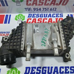 44562 – INTERCOOLER – MAN