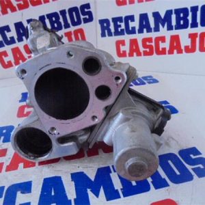 8738 – EGR – Renault