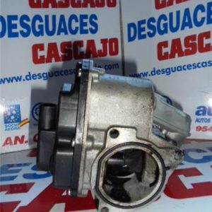 24844 – EGR – Volkswagen