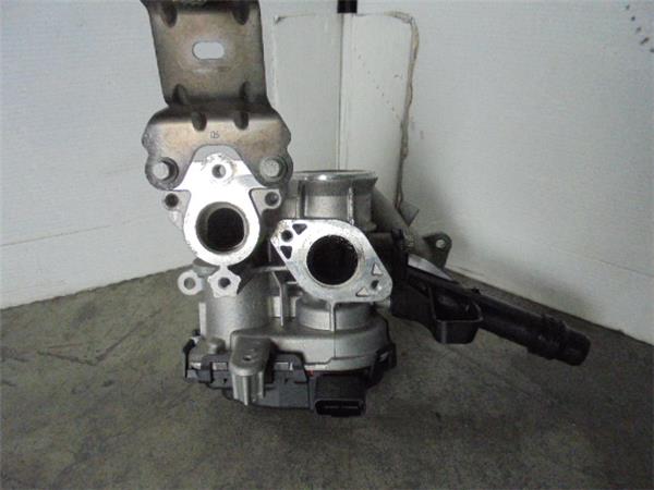31435 – EGR – Citroen