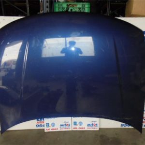19824 – CAPO – Tata