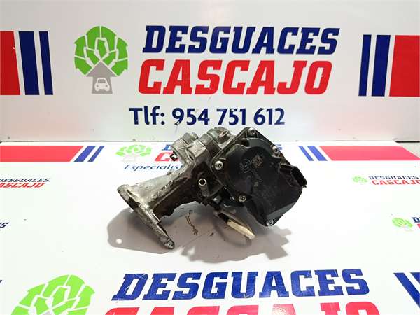 46386 – EGR – Renault