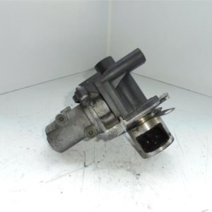 30194 – EGR – Dacia