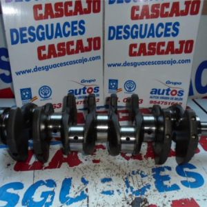 23935 – CIGUEÑAL – Kia