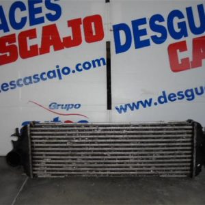 17453 – INTERCOOLER – Renault
