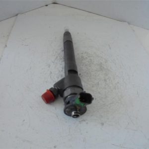29874 – INYECTOR – Renault