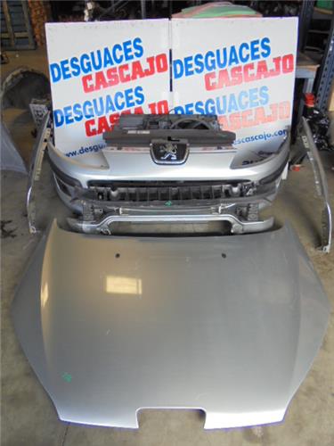 25277 – FRENTE COMPLETO – Peugeot