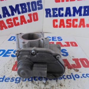 17529 – EGR – Renault