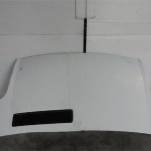 28438 – CAPO – Renault